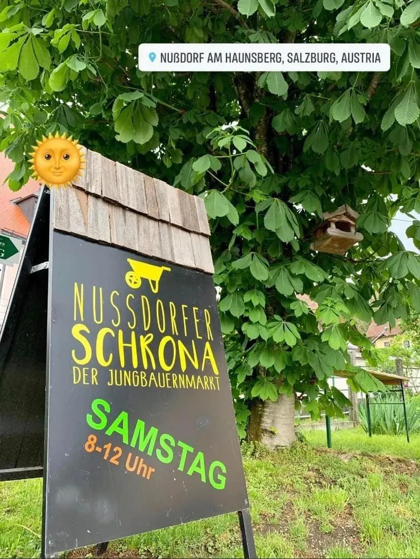 Nußdorfer Schrona Plakatständer